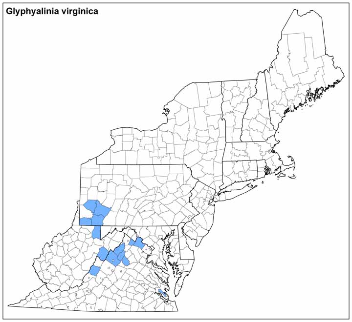 Glyphyalinia virginica Range Map
